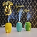 USB Buhurdanlık Limon